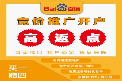 百度广告投放技巧：案例解析助力品牌增长